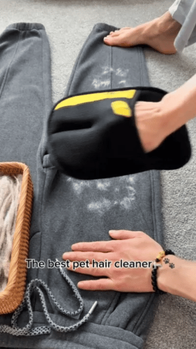 Fur-Free Magic Mitt™