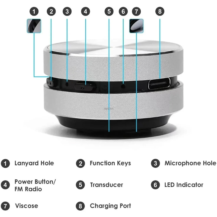 Boomio™ Mini Conduction Speaker